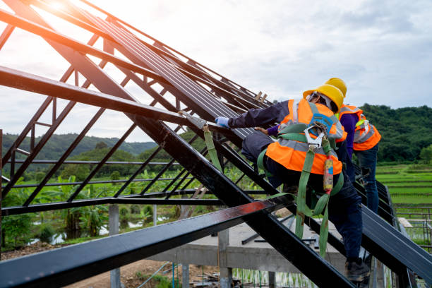 Best Roof Maintenance Services  in Cedar Bluff, VA