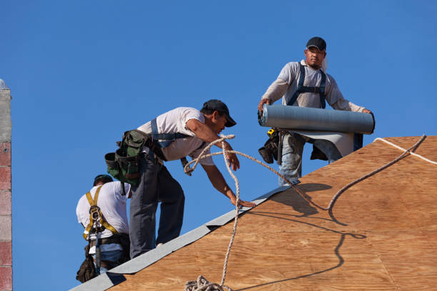Best Local Roofing Companies  in Cedar Bluff, VA